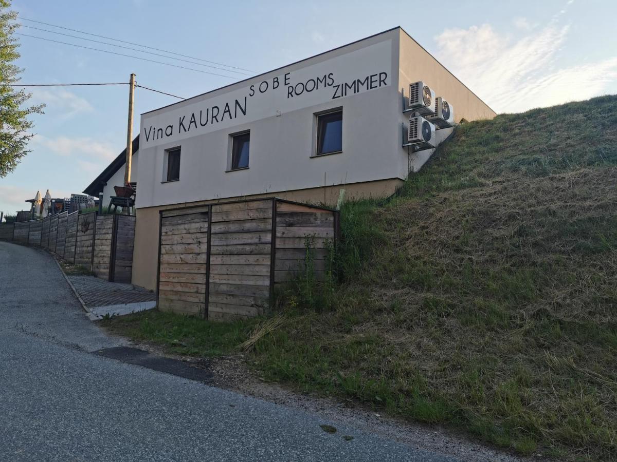 Sobe, Rooms B&B - Vina Kauran Zgornji Jakobski Dol Exterior photo
